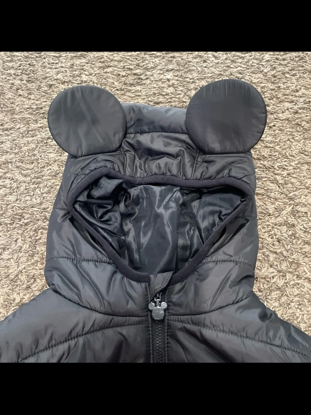 Disney parks kids